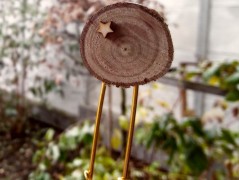 Melounové potěšení – kapsička