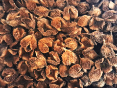 Jeřabiny - dámský náhrdelník