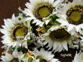 věnec ,,slunečnice bílé,,..