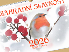 Darovací obálka - ČERVENÉ VÁNOCE