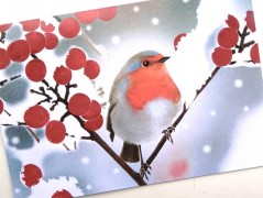 Darovací obálka - ČERVENÉ VÁNOCE