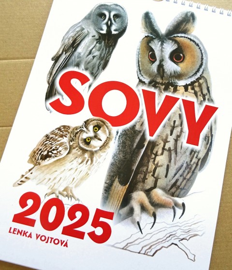 Kalendář 2026 - SOVY barva pták sova měsíční a4 sovy kalendář nástěnný 2025 