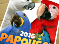 Kalendář - PAPOUŠCI 2026