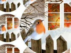 Darovací obálka - ČERVENÉ VÁNOCE