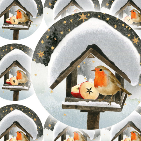 JABLÍČKO PRO ČERVENKU - samolepky jablko zábava sníh zima vánoce ptáček přání příroda vánoční hvězda diář deník advent krmítko obálka červenka nálepka pohlednice samolepky samolepka 