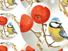 Darovací obálka - ČERVENÉ VÁNOCE