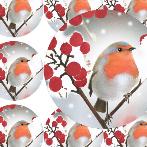 ČERVENKA V ZIMĚ- samolepky zábava sníh zima vánoce ptáček přání příroda vánoční diář rostlina deník advent obálka červenka nálepka pohlednice samolepky samolepka 