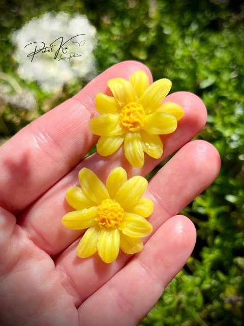 Náušnice Sluneční květy náušnice léto kopretiny 