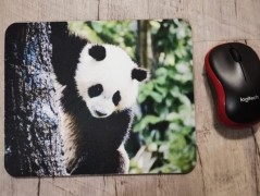 Hrnek se jménem, Klára