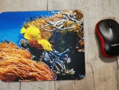 Hrnek se jménem, Klára