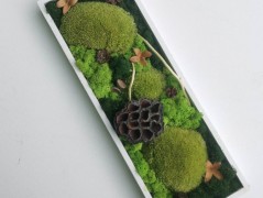 Mechový obraz, strom života, 30 cm