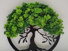 Mechový obraz, strom života, 30 cm