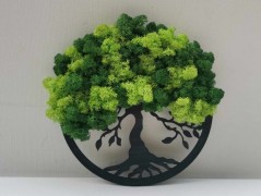 Mechový obraz, strom života, 30 cm