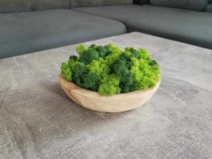 Mechový obraz, strom života, 30 cm