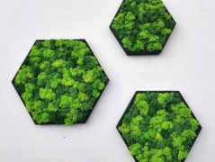 Mechový obraz, strom života, 30 cm