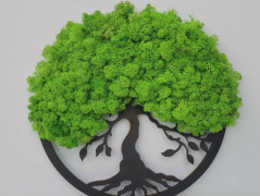 Mechový obraz, strom života, 30 cm