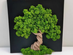 Mechový obraz, strom života, 30 cm