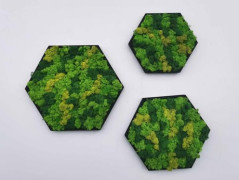 Mechový obraz, strom života, 30 cm