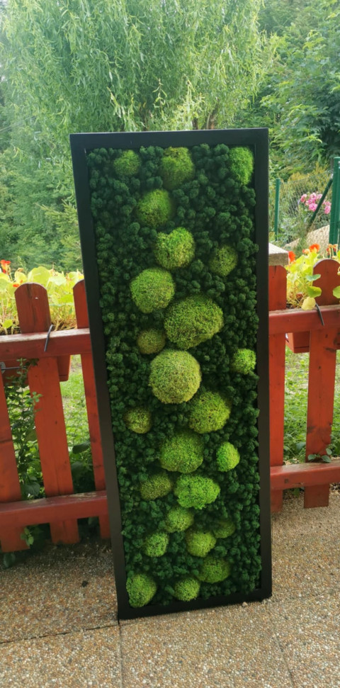 Mechový obraz, 40x120 dekorace obraz přírodní mechový panel kopečkový mech 