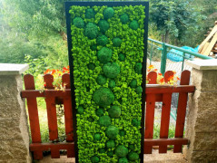 Mechový obraz, strom života, 30 cm