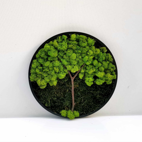Kulatý mechový obraz. 30 cm. dekorace strom obraz přírodní mech mechový kulatý obraz 