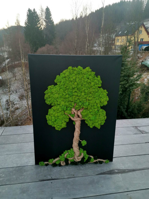 Mechový obraz, strom 60x80 cm dekorace obraz zelený strom života mechový obraz sobí mech mechová dekorace mechový strom 