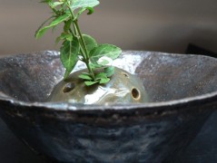 Náhrdelník, Orange