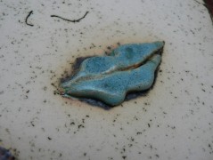 Náhrdelník, Orange