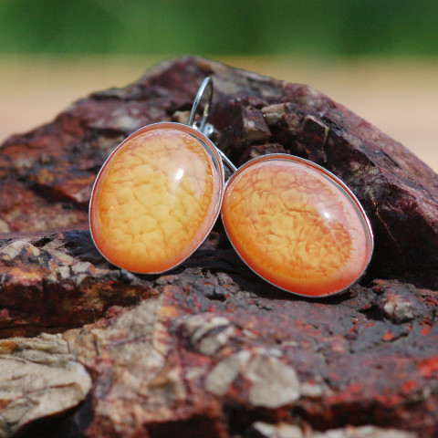 Náušnice Meruňky klapky 