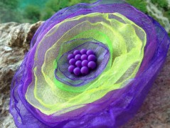 Lístečkové náušnice - S.Steel