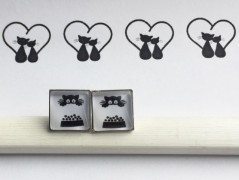 Lístečkové náušnice - S.Steel