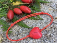 Lístečkové náušnice - S.Steel