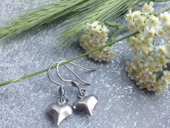 Lístečkové náušnice - S.Steel