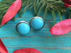 Lístečkové náušnice - S.Steel