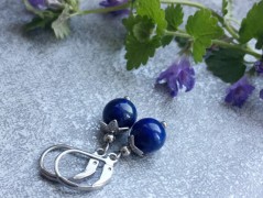 Lístečkové náušnice - S.Steel