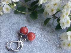 Lístečkové náušnice - S.Steel