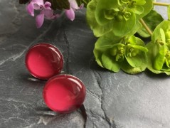 Lístečkové náušnice - S.Steel