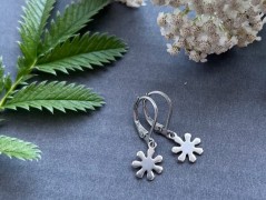 Lístečkové náušnice - S.Steel