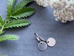 Lístečkové náušnice - S.Steel