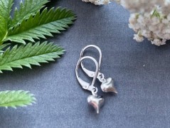 Lístečkové náušnice - S.Steel