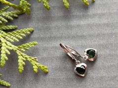 Lístečkové náušnice - S.Steel