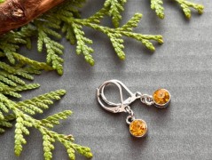 Lístečkové náušnice - S.Steel