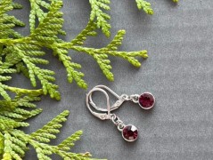 Lístečkové náušnice - S.Steel