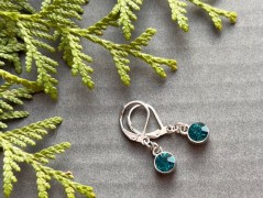 Lístečkové náušnice - S.Steel