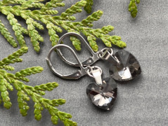 Lístečkové náušnice - S.Steel