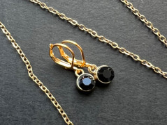 Lístečkové náušnice - S.Steel