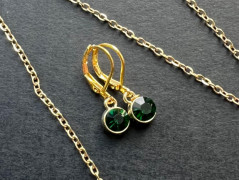 Lístečkové náušnice - S.Steel