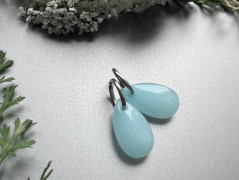 Lístečkové náušnice - S.Steel