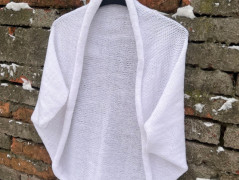 Lístečkové náušnice - S.Steel