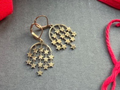 Lístečkové náušnice - S.Steel